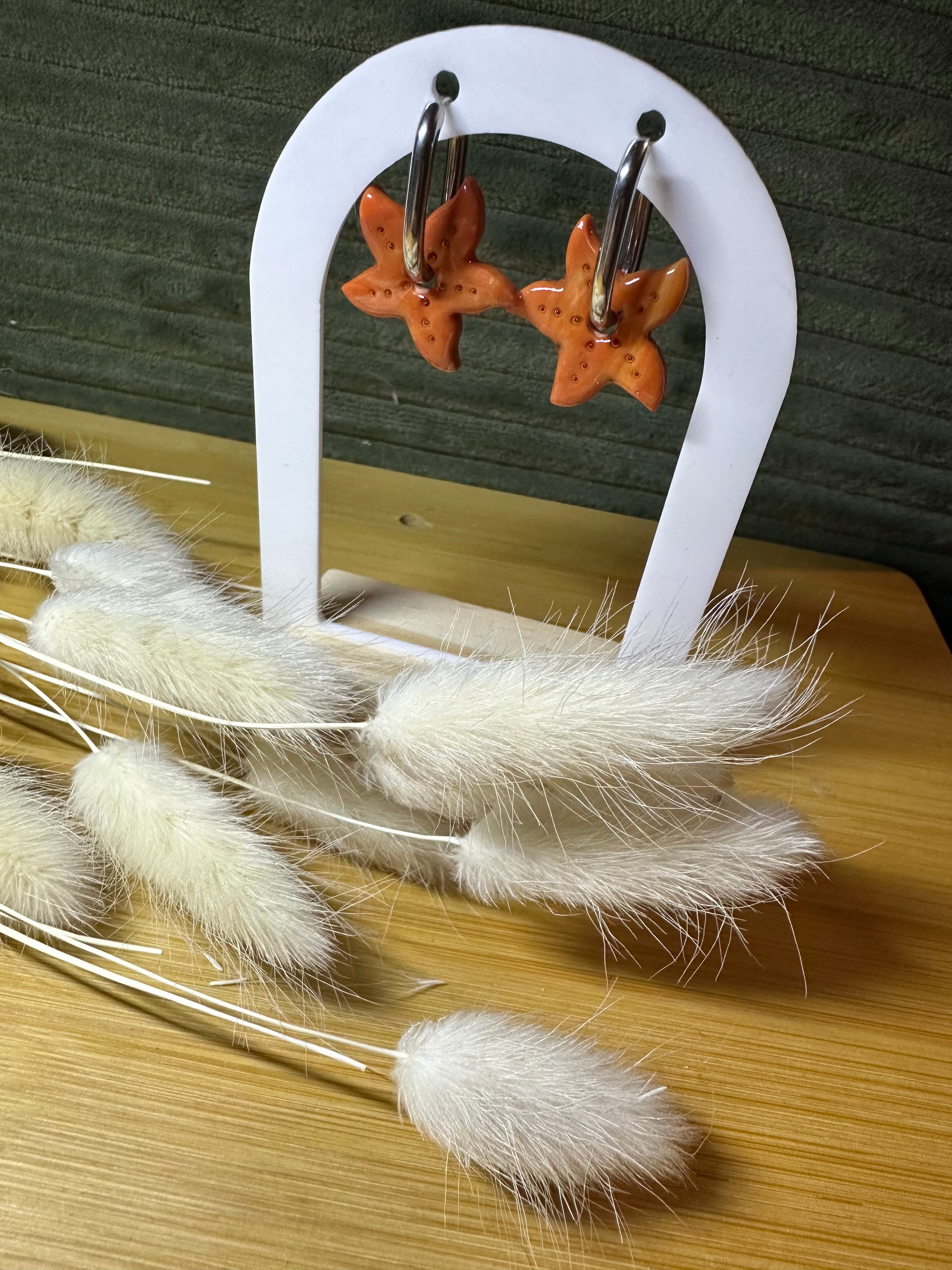 Pampilles étoile de mer