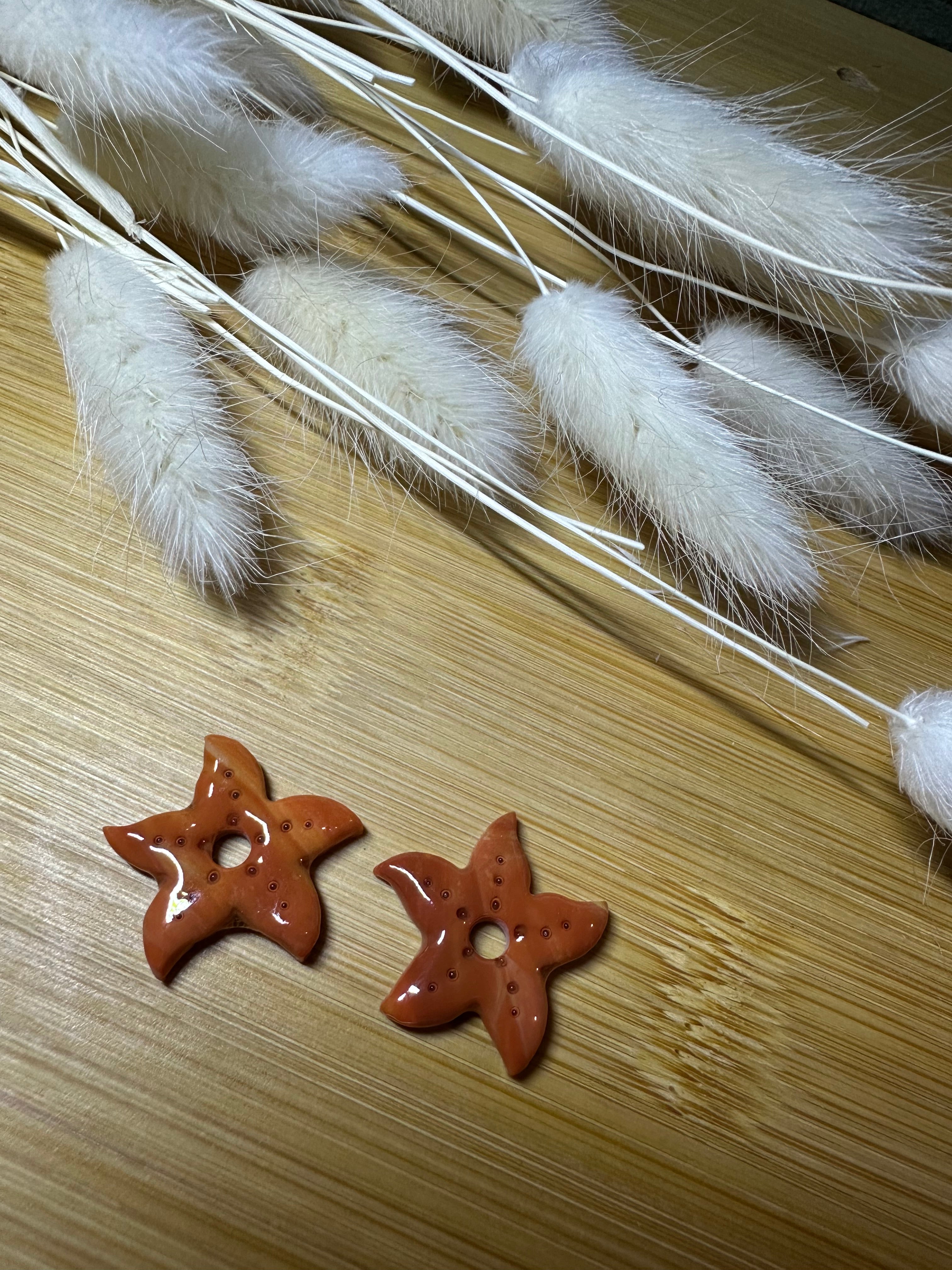 Pampilles étoile de mer