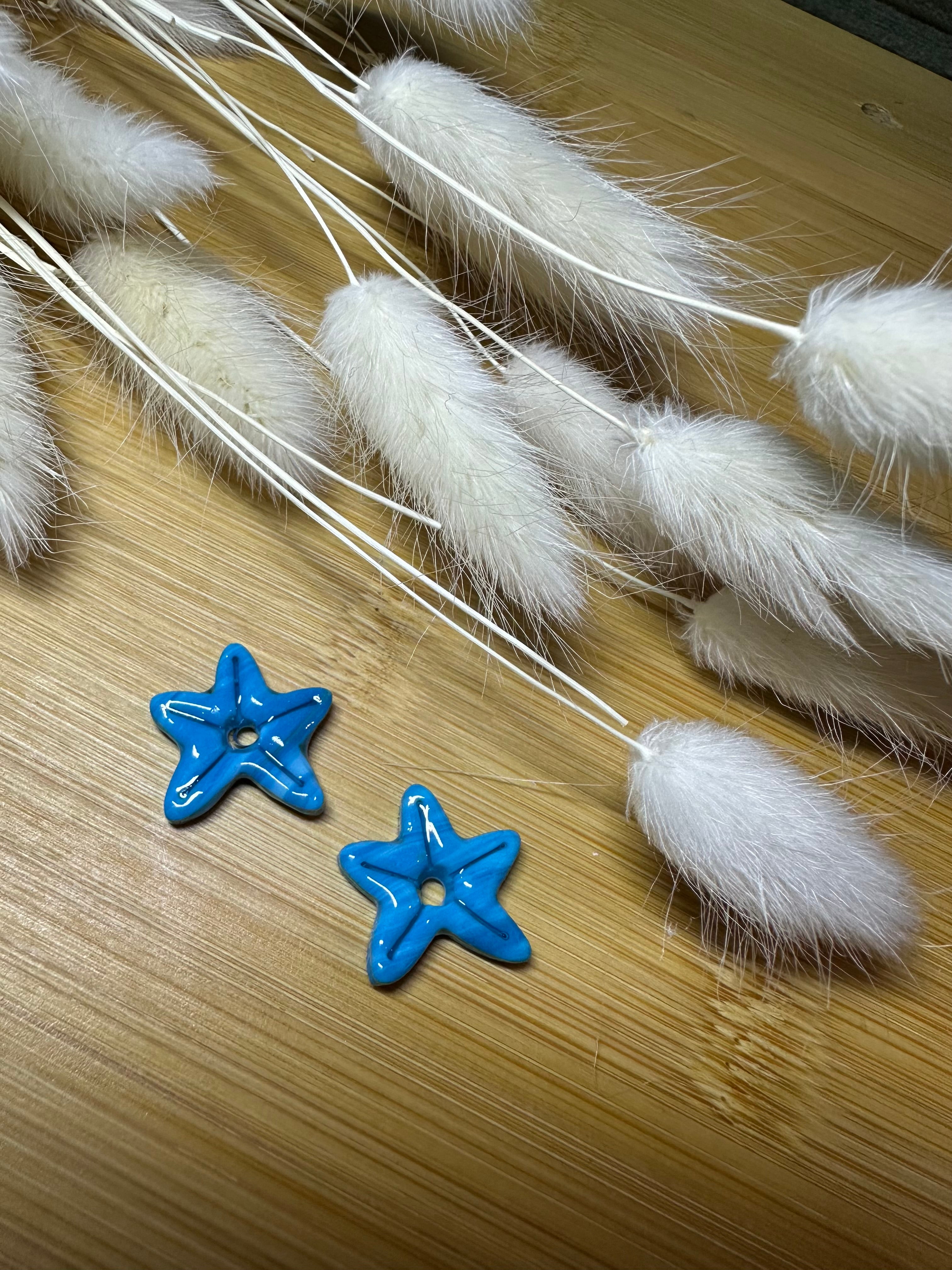 Papilles étoiles de mer